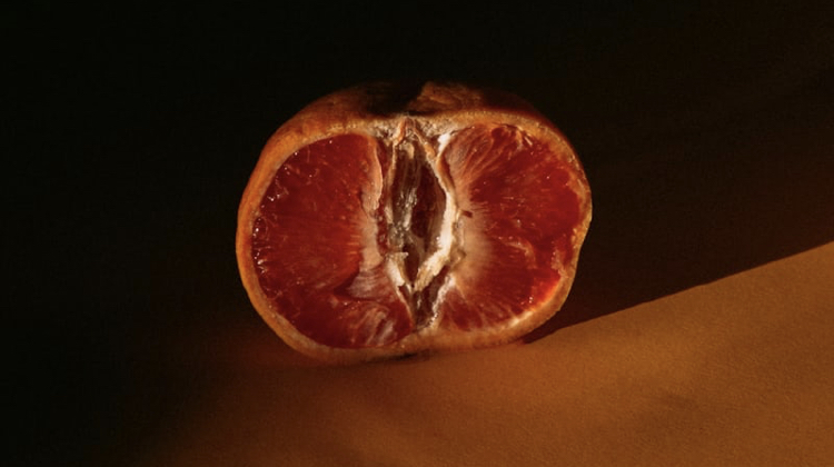 GRAPEFRUIT TREE AND RESENTFUL&nbsp;TREE