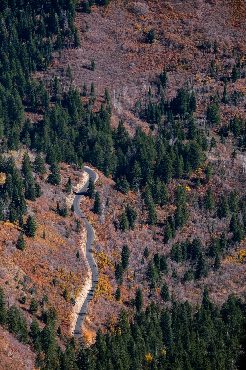 40.2788° N, 111.7154°&nbsp;W